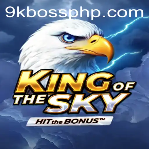KingOfTheSky: Unraveling the High-Flying World of 9KBoss.COM